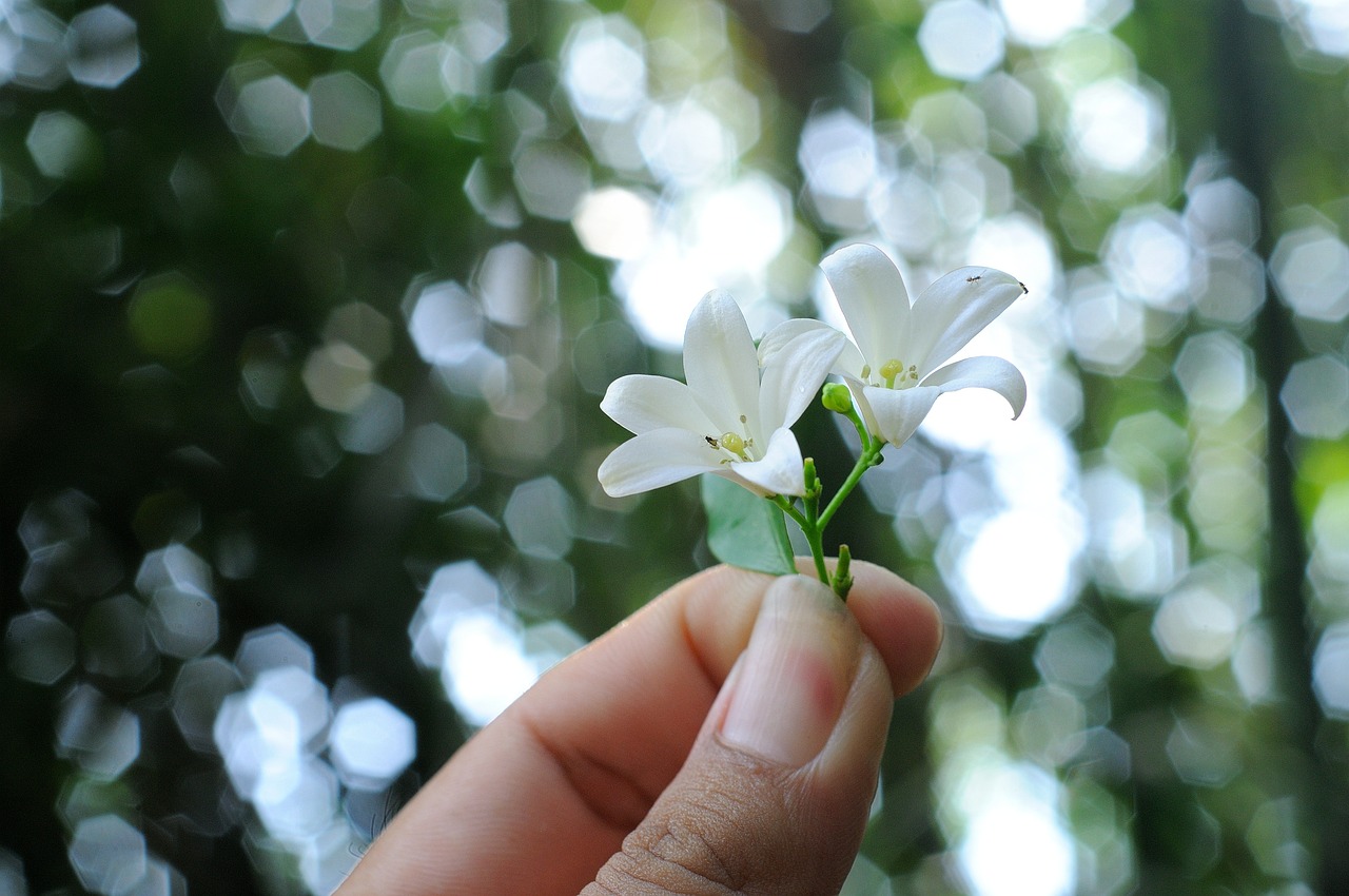 花气熏人欲破禅